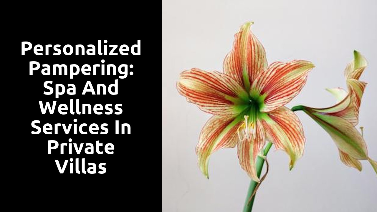 Personalized Pampering: Spa and Wellness Services in Private Villas