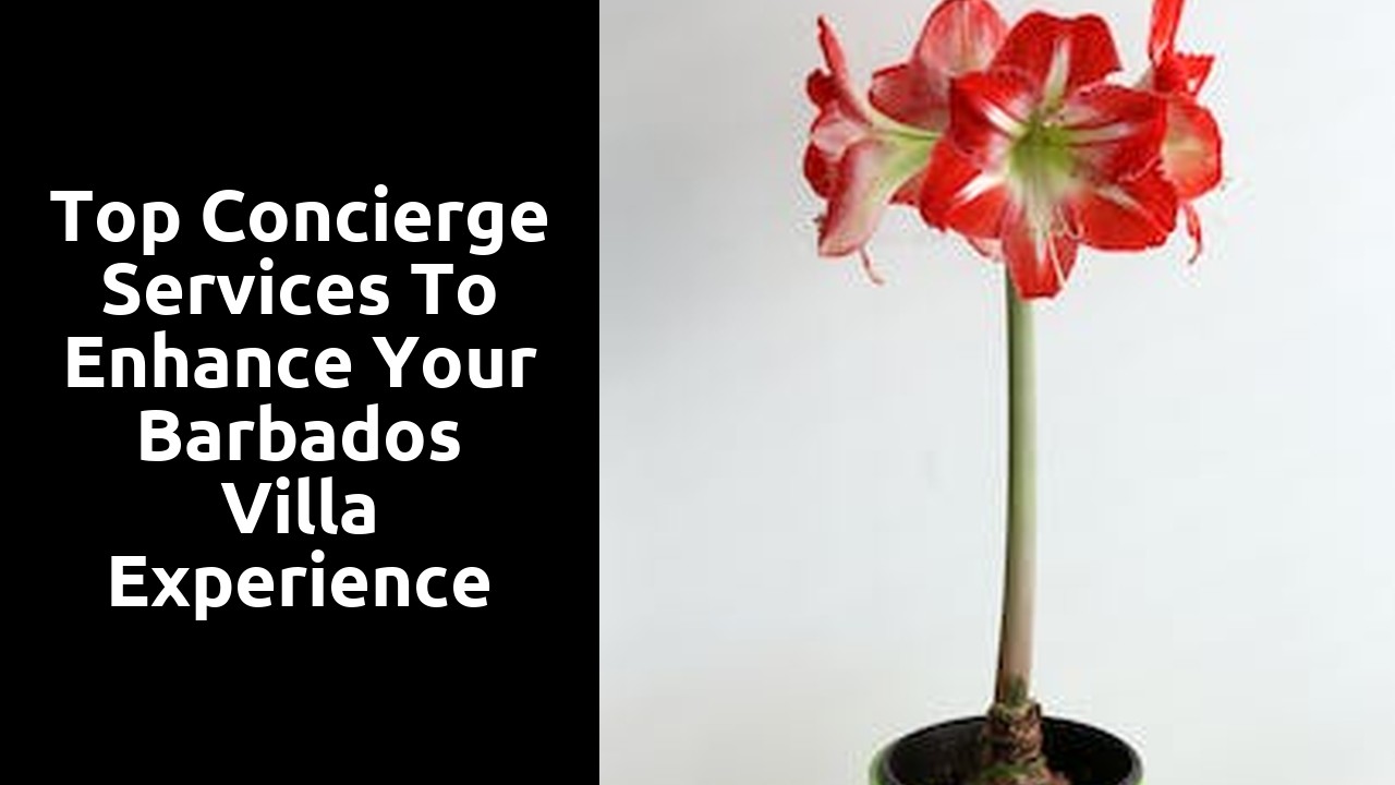 Top Concierge Services to Enhance Your Barbados Villa Experience