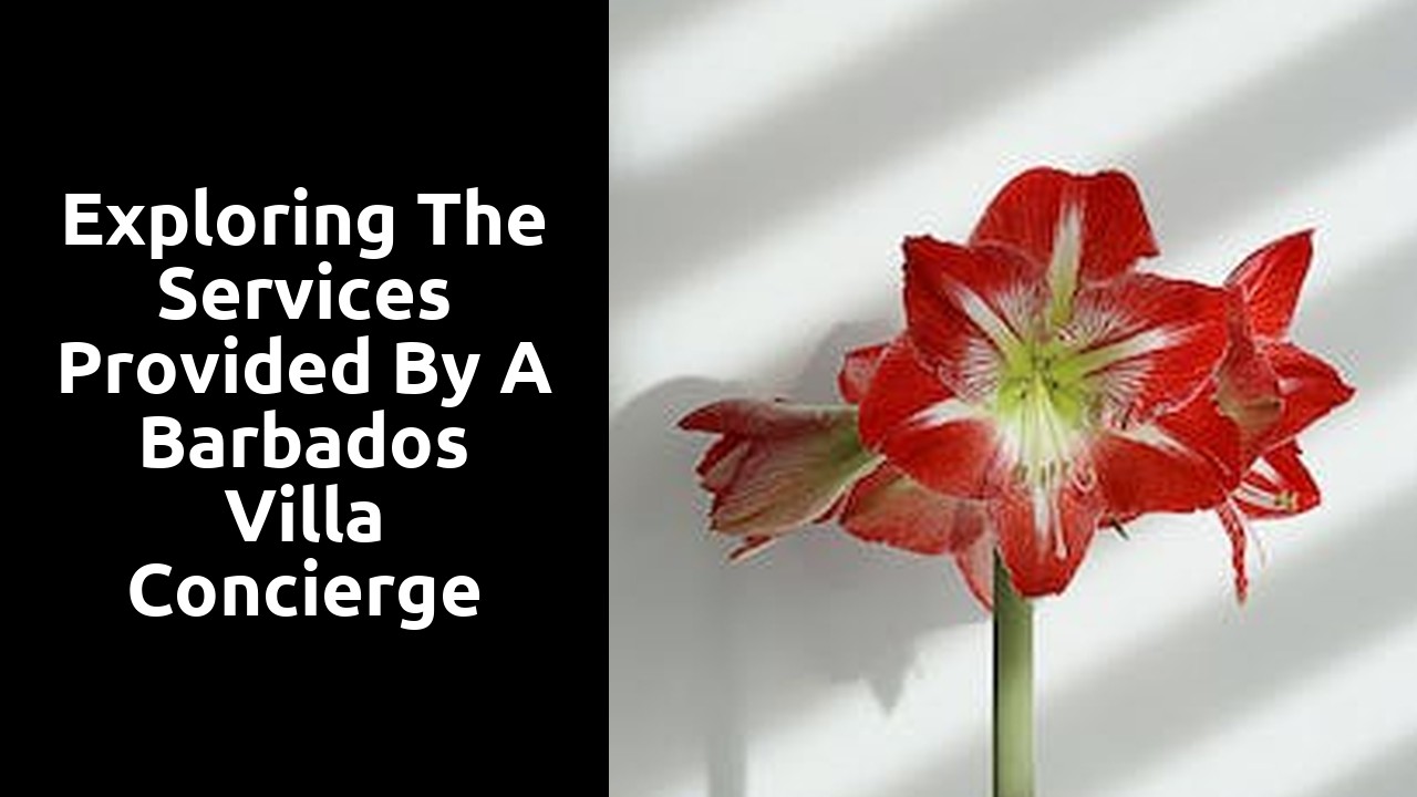 Exploring the Services Provided by a Barbados Villa Concierge