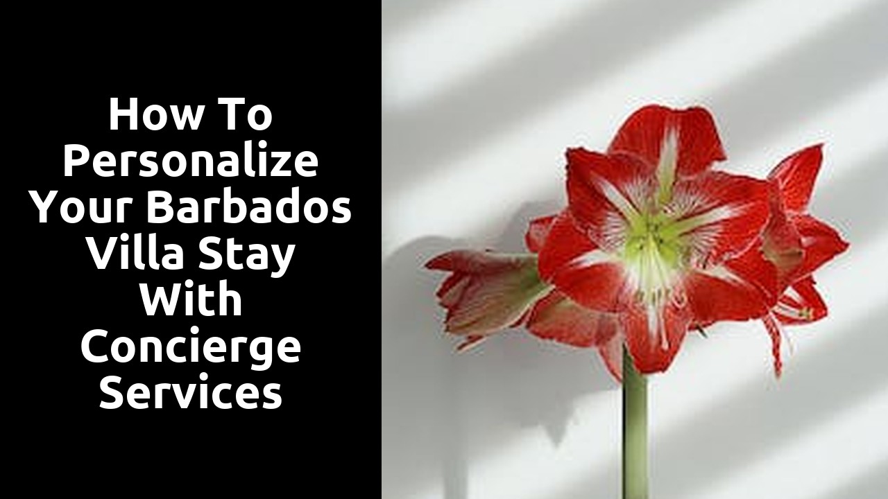 How to Personalize Your Barbados Villa Stay with Concierge Services