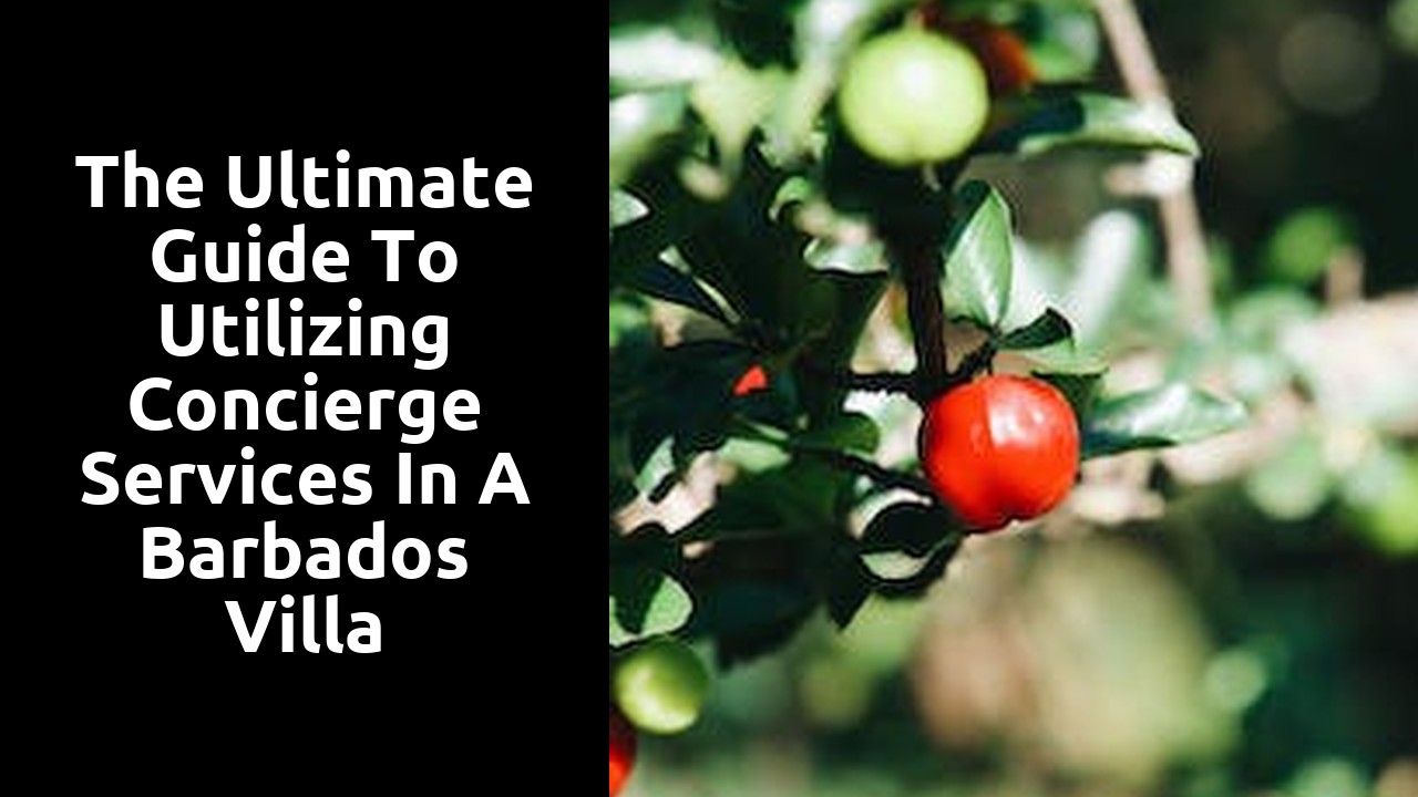 The Ultimate Guide to Utilizing Concierge Services in a Barbados Villa