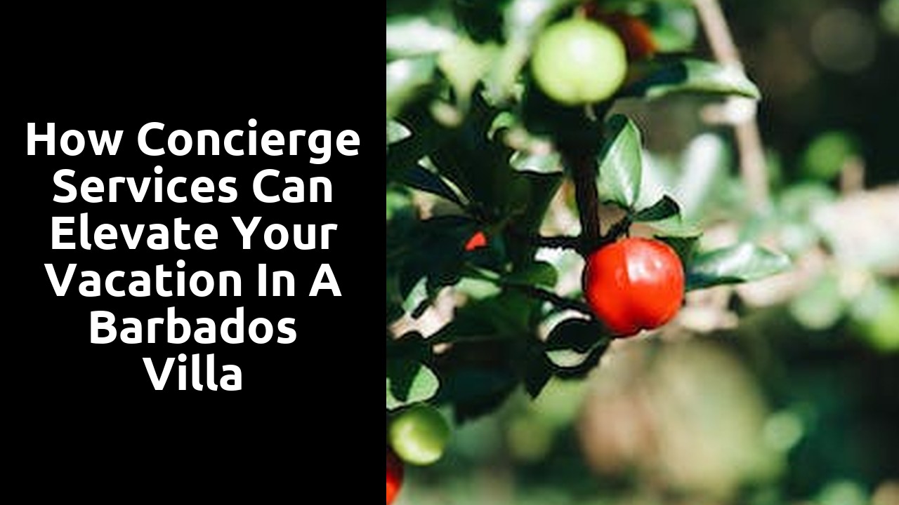How Concierge Services Can Elevate Your Vacation in a Barbados Villa