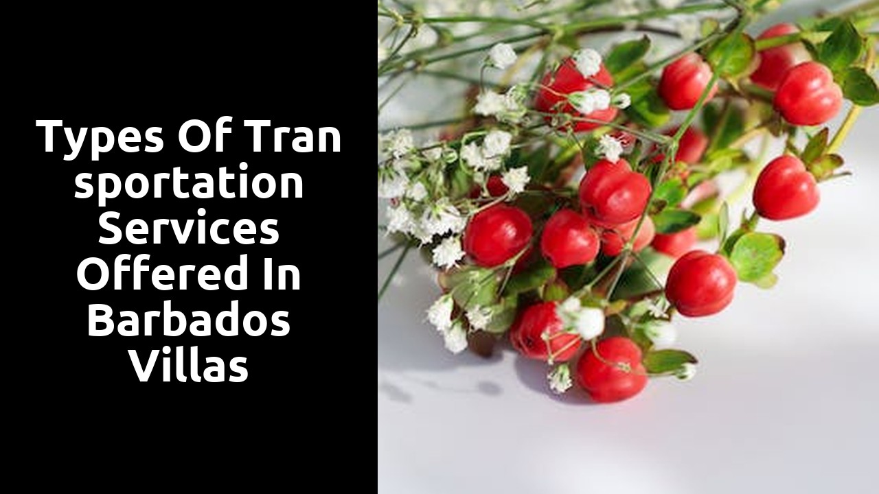 Types of transportation services offered in Barbados villas