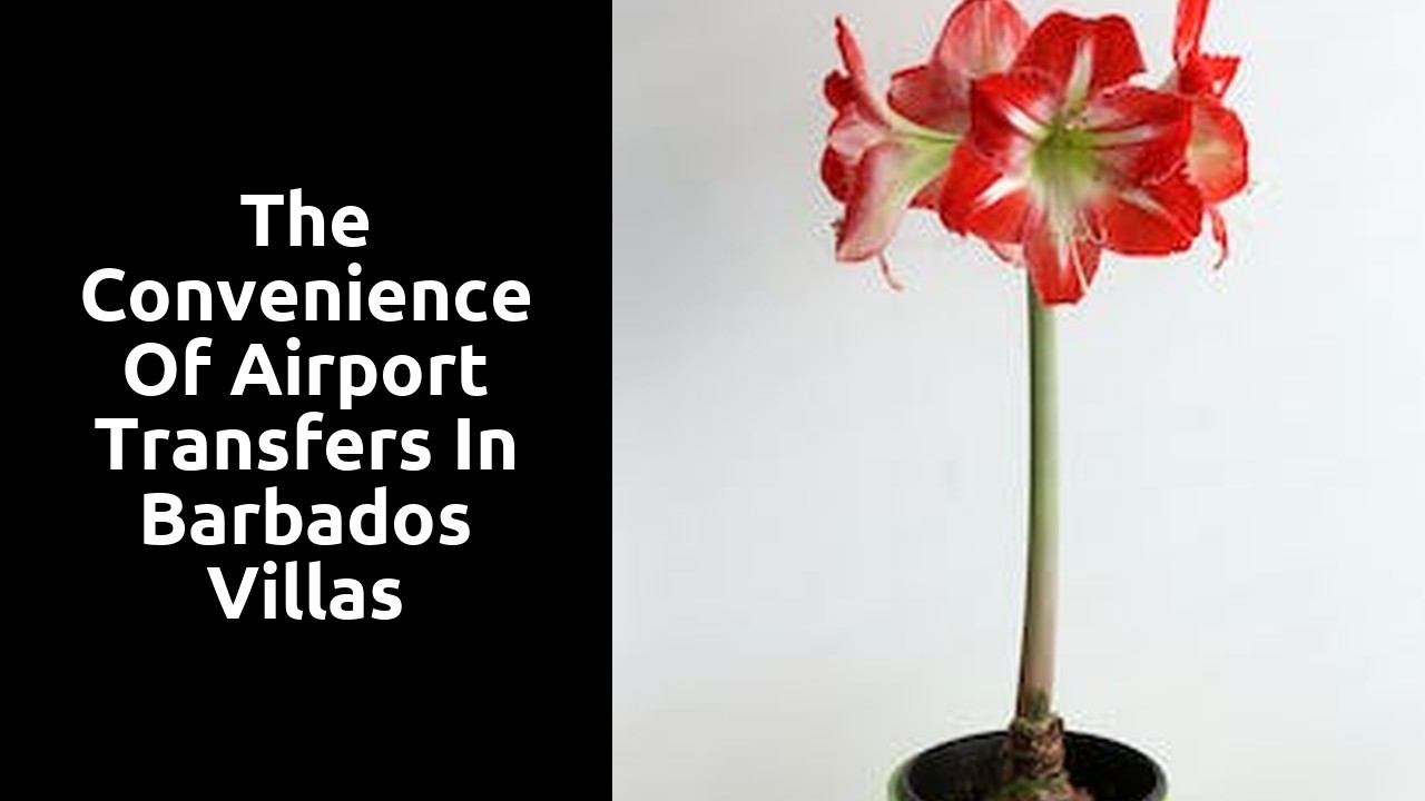 The convenience of airport transfers in Barbados villas