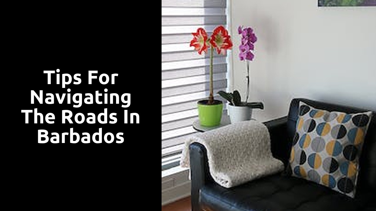 Tips for navigating the roads in Barbados