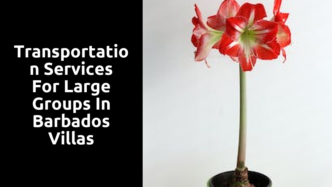 Transportation services for large groups in Barbados villas