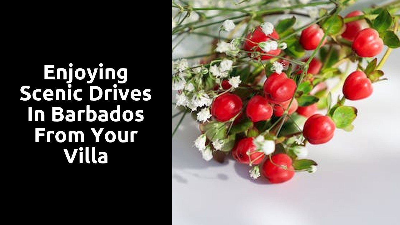 Enjoying scenic drives in Barbados from your villa