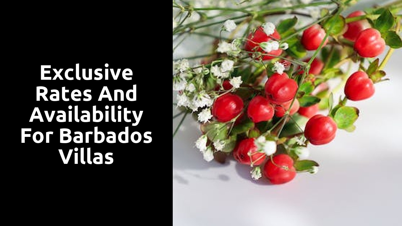 Exclusive rates and availability for Barbados villas