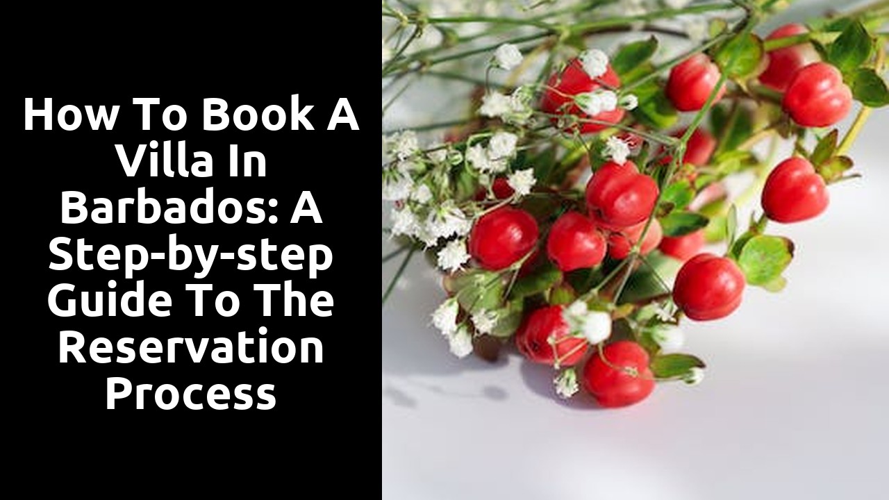 How to book a villa in Barbados: A step-by-step guide to the reservation process