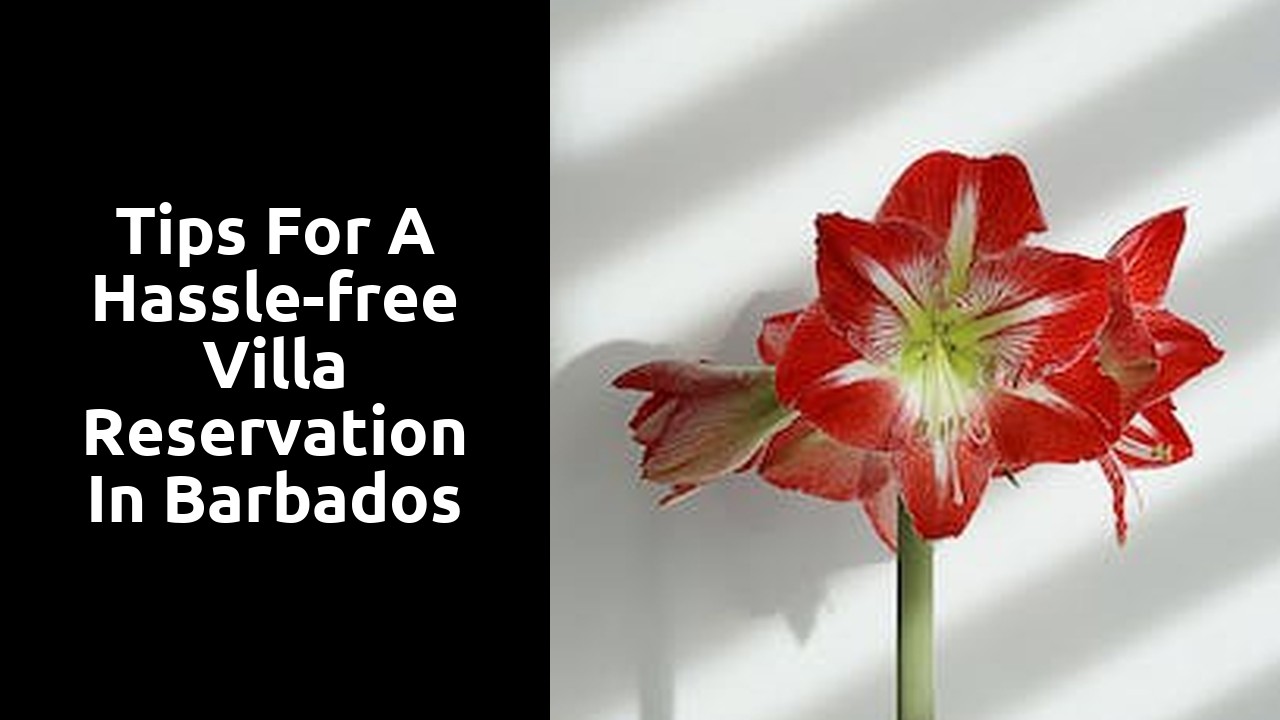 Tips for a hassle-free villa reservation in Barbados