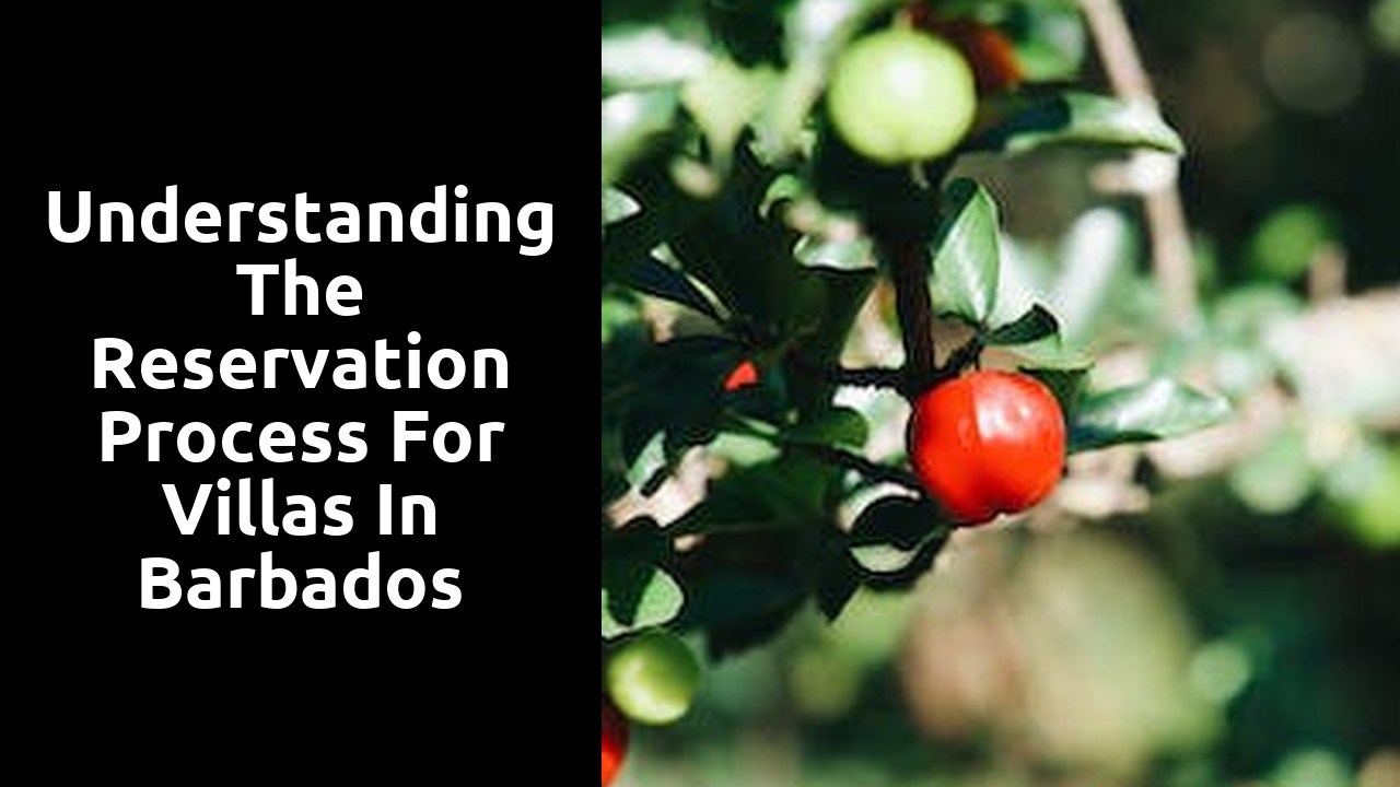 Understanding the reservation process for villas in Barbados