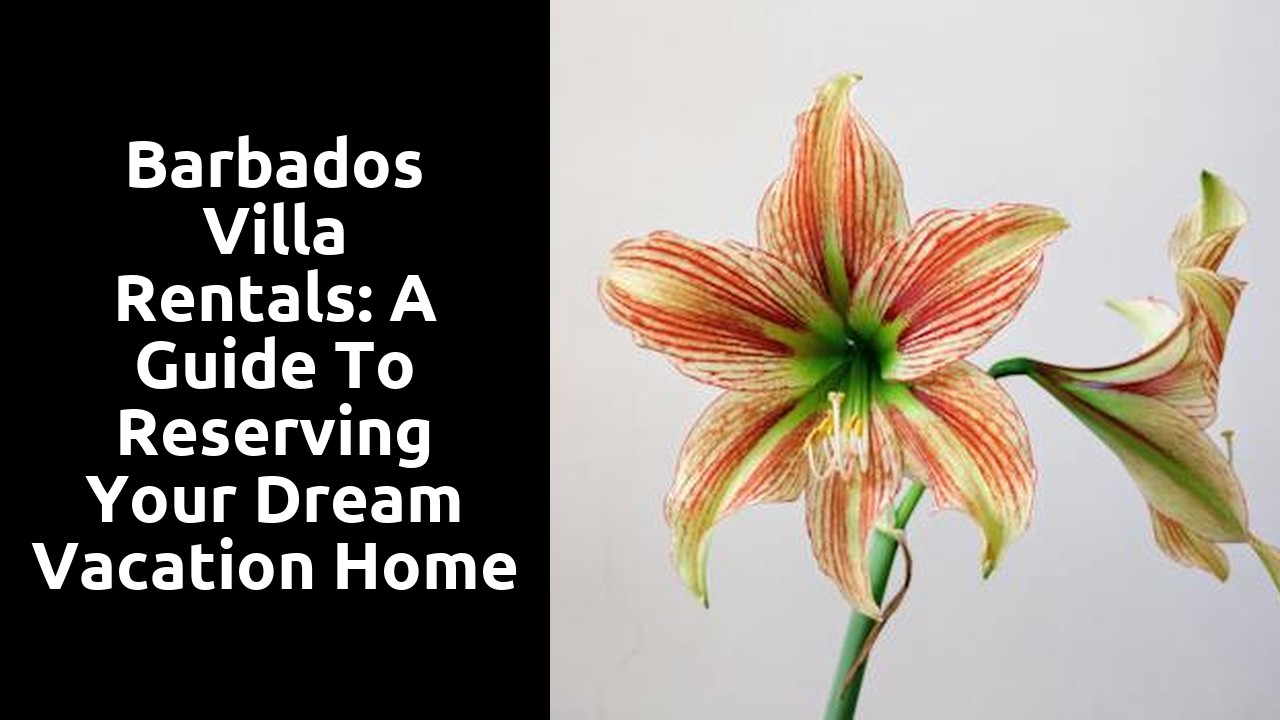 Barbados villa rentals: A guide to reserving your dream vacation home