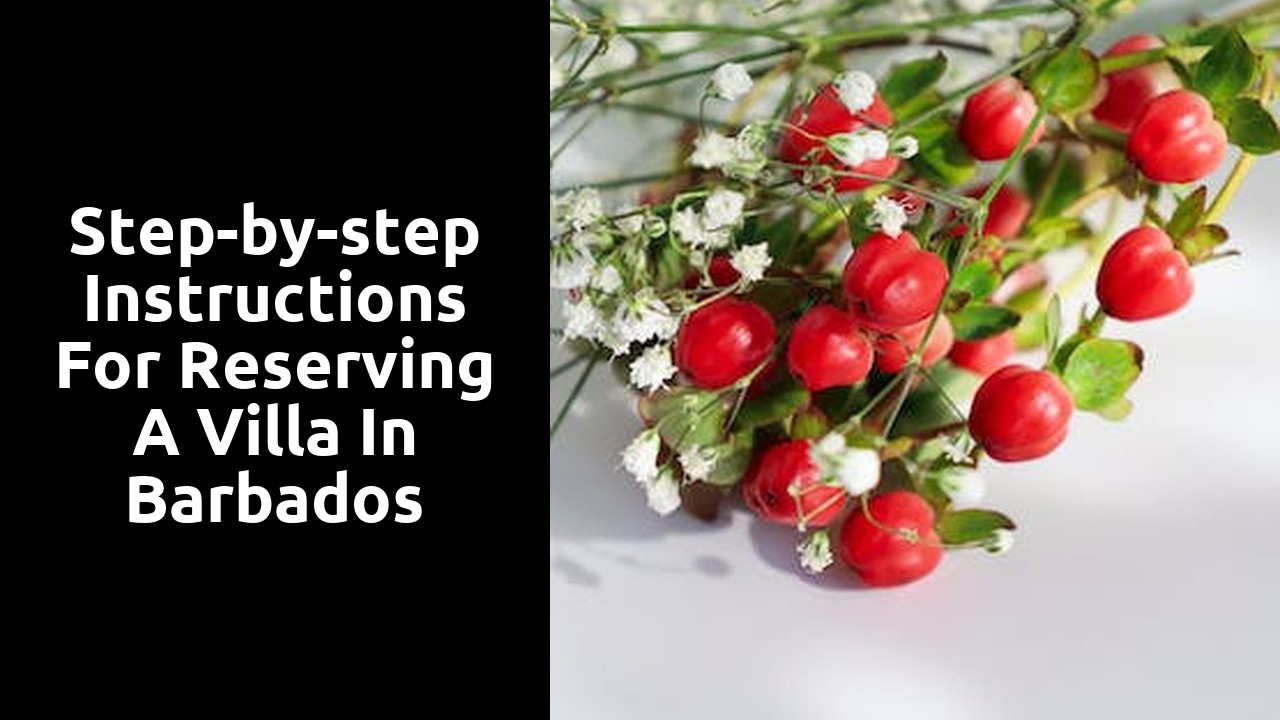 Step-by-step instructions for reserving a villa in Barbados