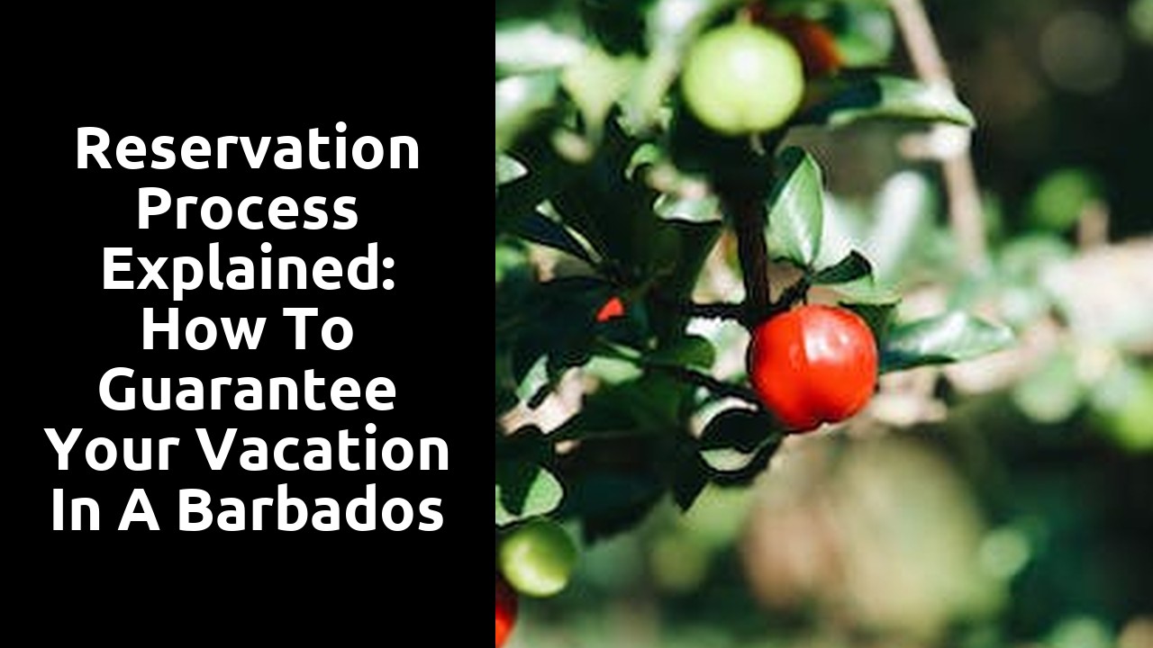 Reservation process explained: How to guarantee your vacation in a Barbados villa
