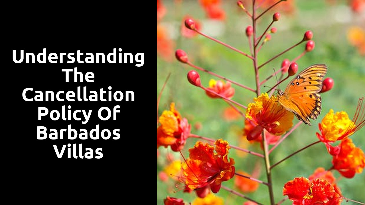 Understanding the Cancellation Policy of Barbados Villas