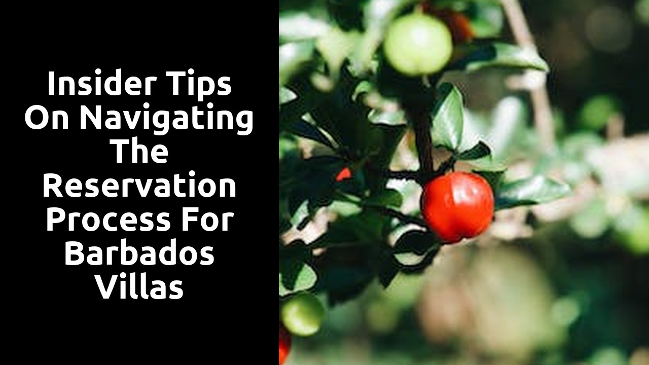 Insider tips on navigating the reservation process for Barbados villas