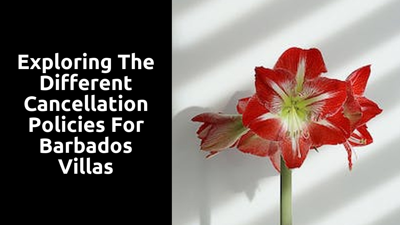 Exploring the Different Cancellation Policies for Barbados Villas