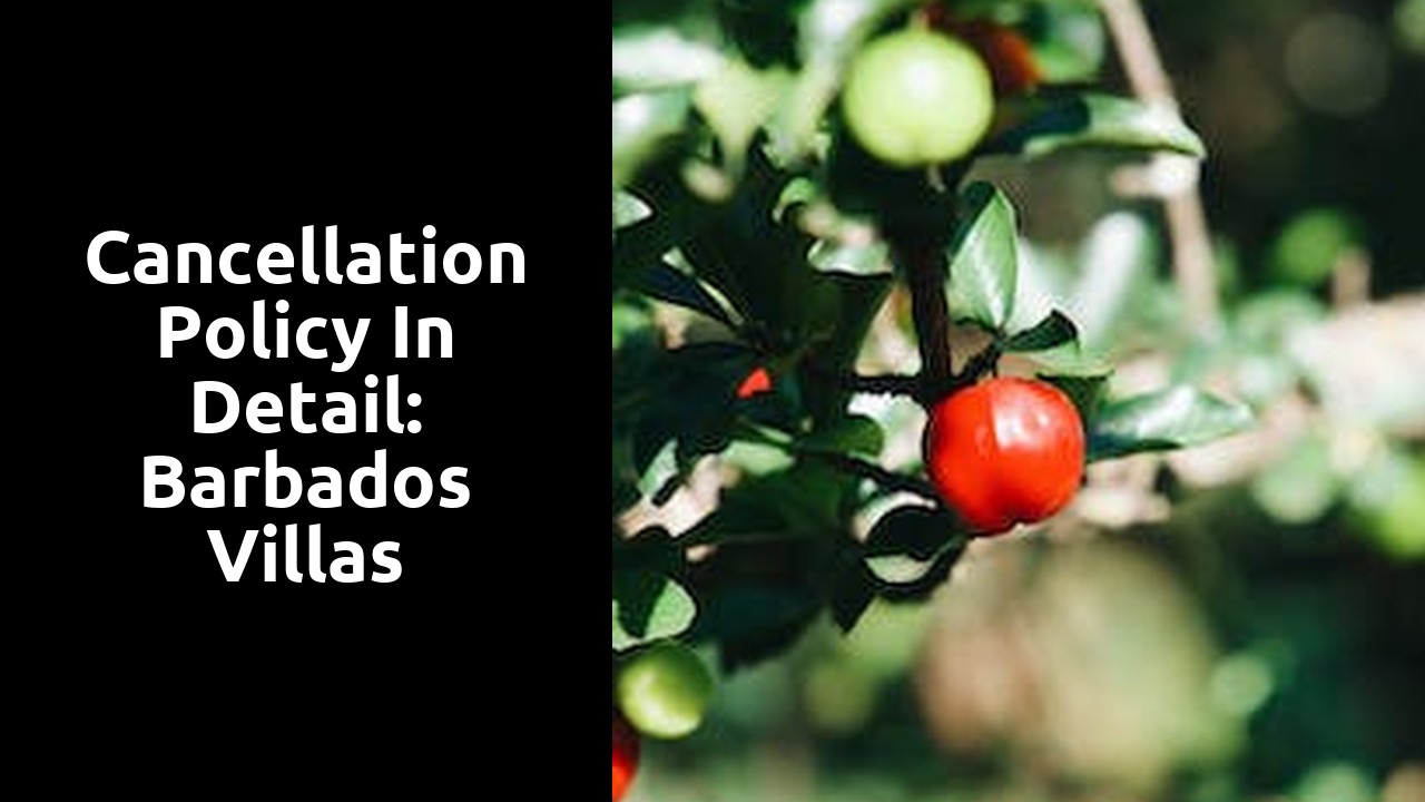 Cancellation Policy in Detail: Barbados Villas