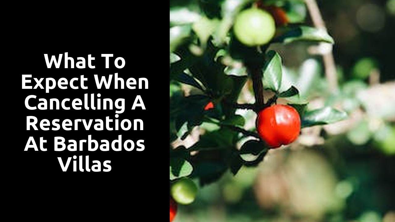 What to Expect When Cancelling a Reservation at Barbados Villas