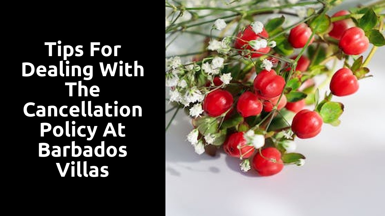 Tips for Dealing with the Cancellation Policy at Barbados Villas