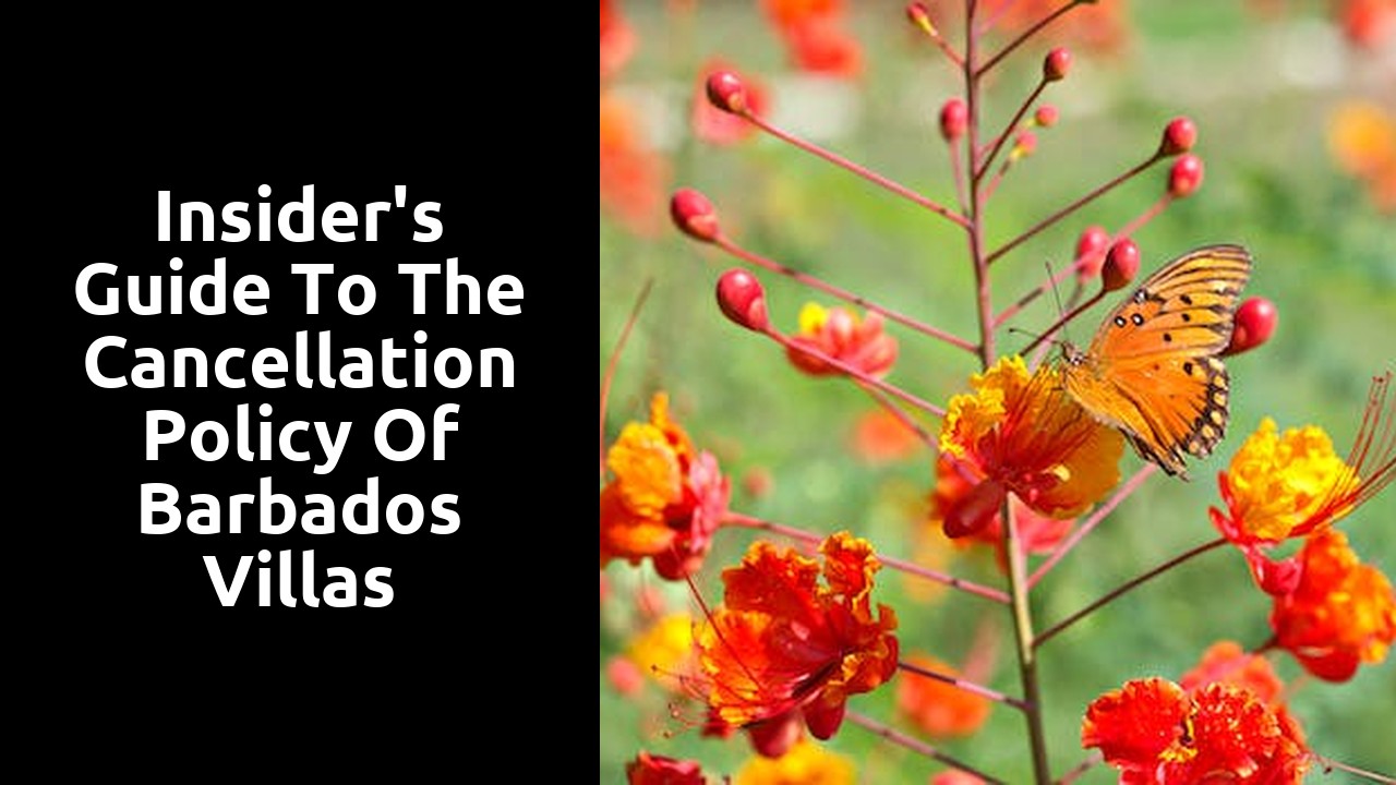 Insider's Guide to the Cancellation Policy of Barbados Villas