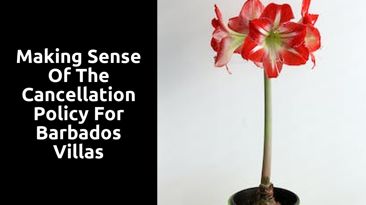 Making Sense of the Cancellation Policy for Barbados Villas