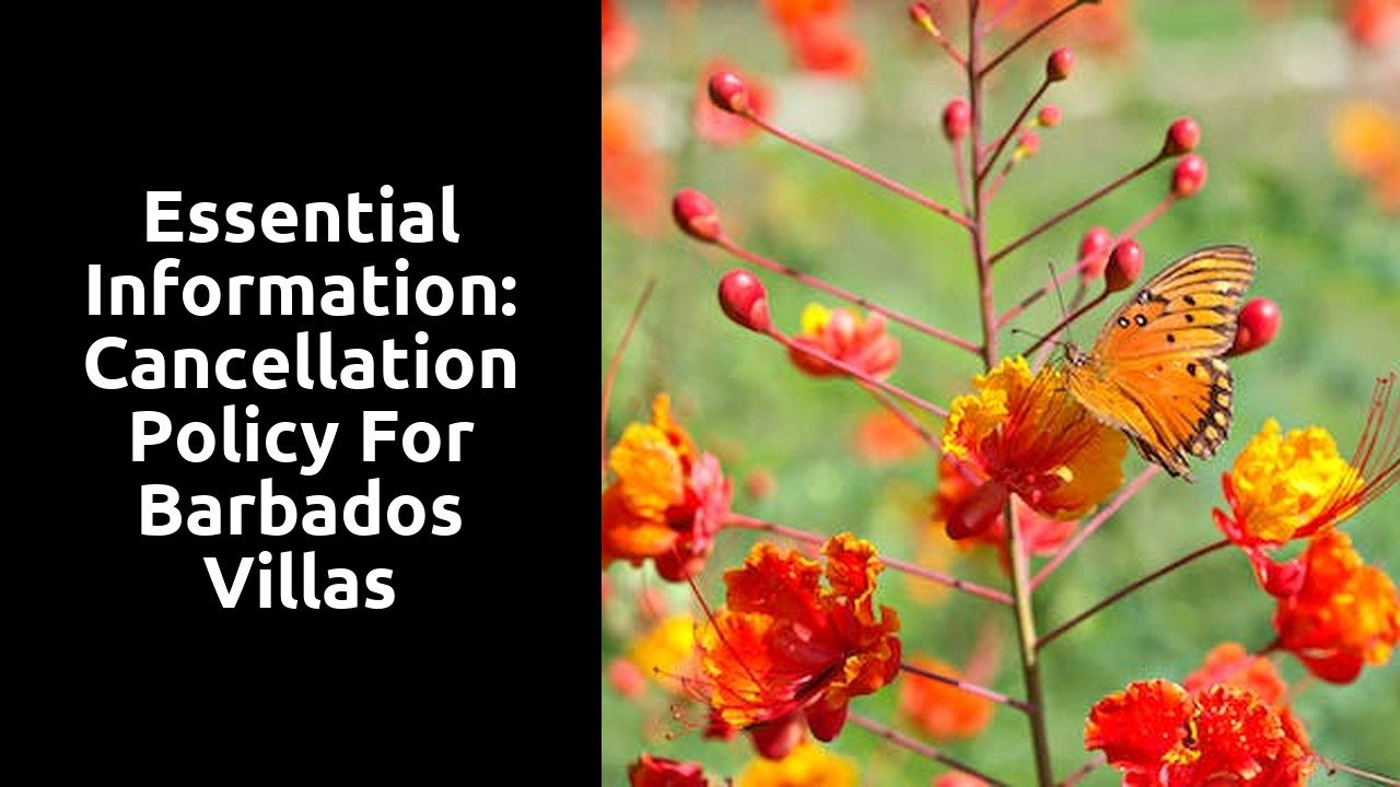 Essential Information: Cancellation Policy for Barbados Villas
