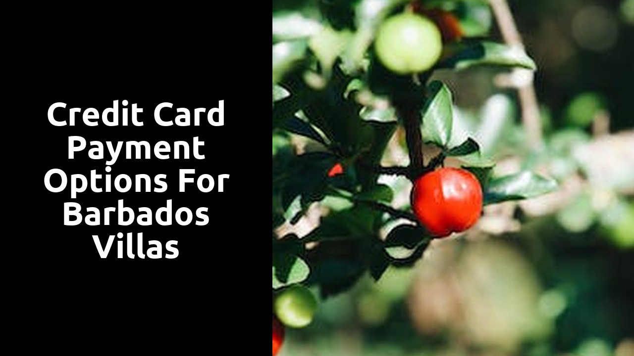 Credit card payment options for Barbados villas