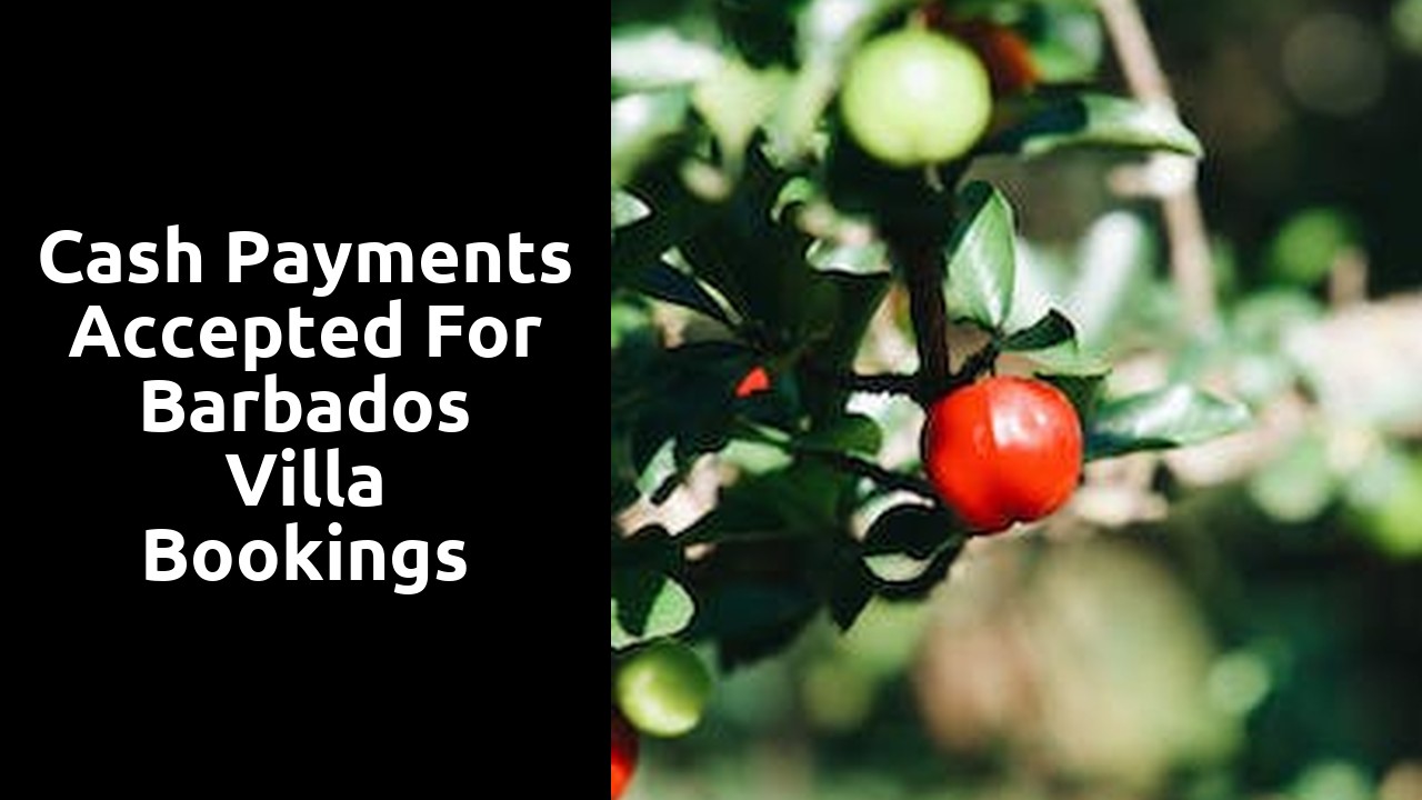 Cash payments accepted for Barbados villa bookings