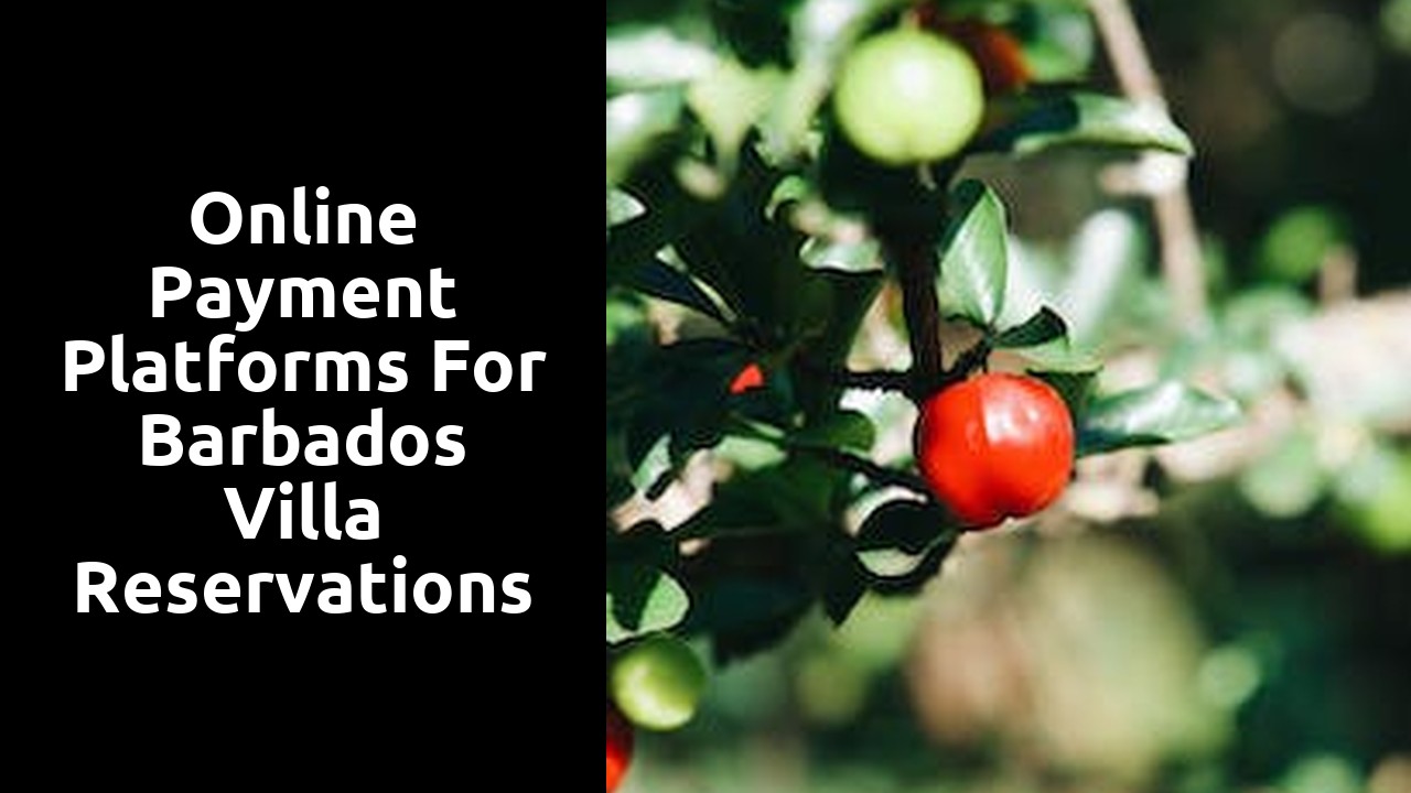 Online payment platforms for Barbados villa reservations