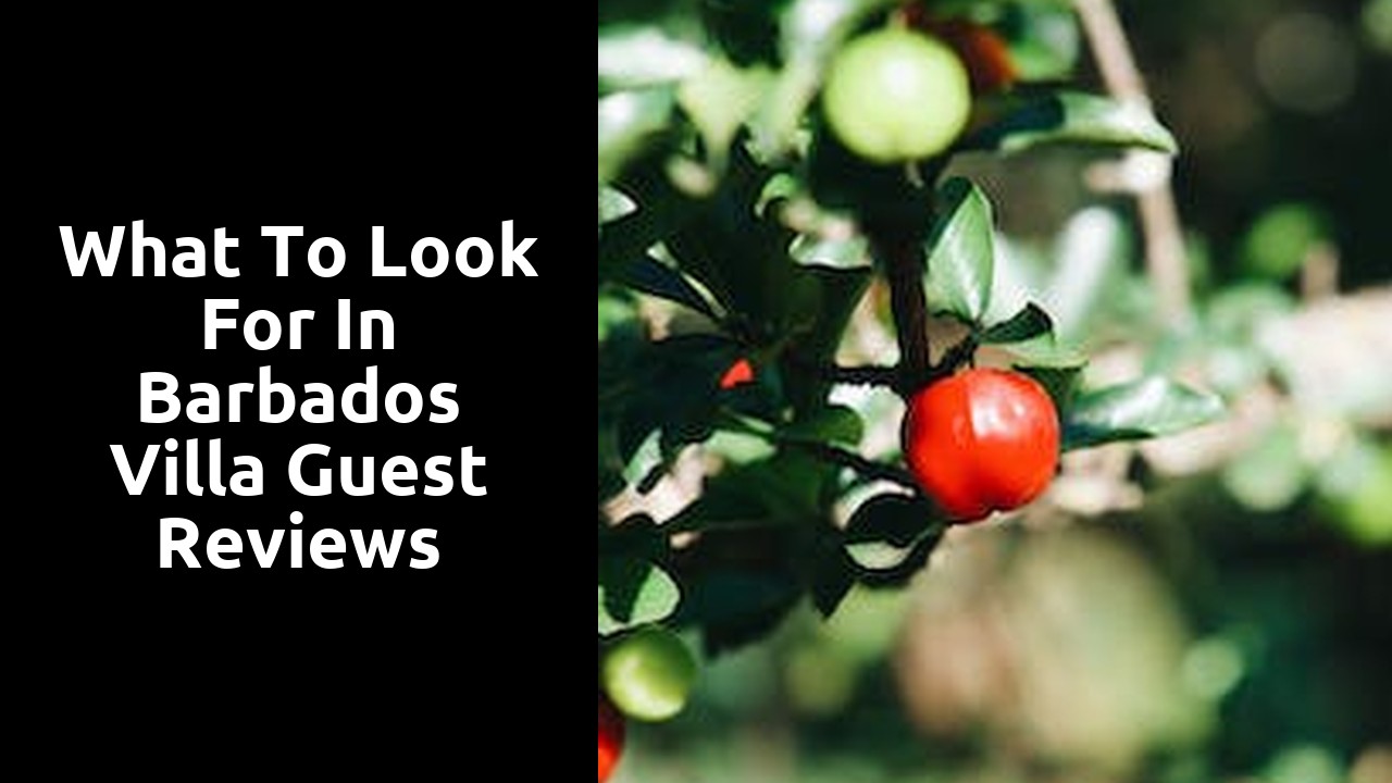 What to Look for in Barbados Villa Guest Reviews