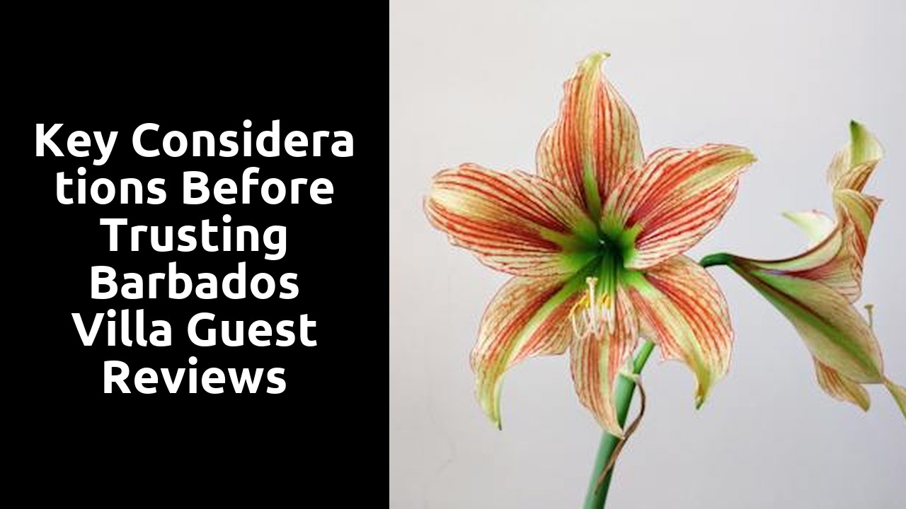 Key Considerations Before Trusting Barbados Villa Guest Reviews