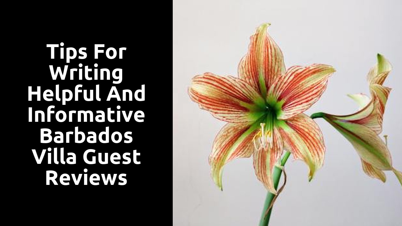 Tips for Writing Helpful and Informative Barbados Villa Guest Reviews