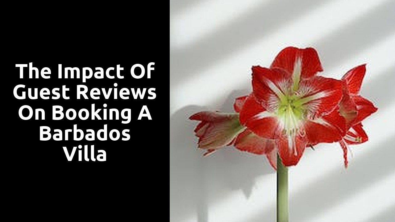The Impact of Guest Reviews on Booking a Barbados Villa